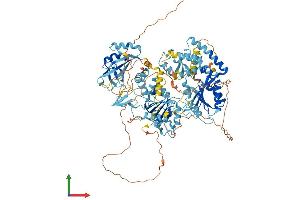 Protein Structure (PS) image for Helicase-Like Transcription Factor (HLTF) (AA 1-1003) protein (His tag) (ABIN7564113)