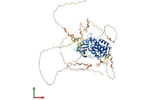 AlphaFold protein structure predicition of Mouse Recombinant Tesk1 Protein, UniprotID O70146