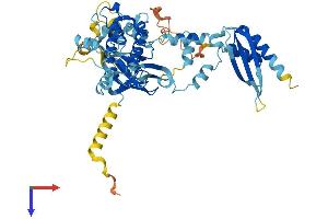 NRBP2 Protein (NRBP2) (AA 1-501) (His tag)