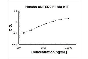 Typical Standard Curve