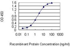 Detection limit for recombinant GST tagged IRS4 is 0. (IRS4 抗体  (AA 850-950))