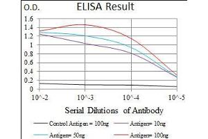 Black line: Control Antigen (100 ng), Purple line: Antigen(10 ng), Blue line: Antigen (50 ng), Red line: Antigen (100 ng), (Id2 抗体  (AA 1-134))