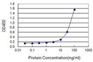 ATF4 (Human) Matched Antibody Pair