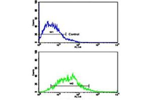 Flow cytometric analysis of MCF-7 cells using CDH13 polyclonal antibody (bottom histogram) compared to a negative control cell (top histogram). (Cadherin 13 抗体  (C-Term))
