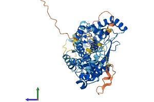 Protein Structure (PS) image for Lysophosphatidylcholine Acyltransferase 1 (LPCAT1) (AA 1-534) protein (His tag) (ABIN7563666)