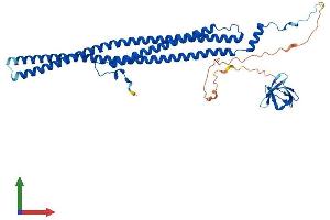 Protein Structure (PS) image for Proline-serine-threonine Phosphatase Interacting Protein 1 (PSTPIP1) (AA 1-416) protein (His tag) (ABIN7555038)