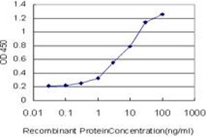 Detection limit for recombinant GST tagged HSPB1 is approximately 0. (HSP27 抗体  (AA 96-205))