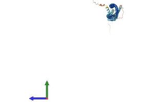 Protein Structure (PS) image for Plasmalemma Vesicle Associated Protein (PLVAP) (AA 1-442) protein (His tag) (ABIN7550899)