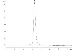 Size-exclusion chromatography-High Pressure Liquid Chromatography (SEC-HPLC) image for Colony Stimulating Factor 1 (Macrophage) (CSF1) (AA 33-190) protein (His-Avi Tag) (ABIN7274425)