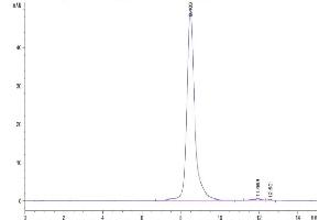 Size-exclusion chromatography-High Pressure Liquid Chromatography (SEC-HPLC) image for Fibroblast Activation Protein, alpha (FAP) (AA 26-760) protein (His-Avi Tag,Biotin) (ABIN7274585)