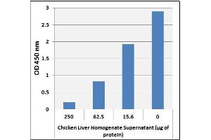Cholic Acid Levels in Liver.