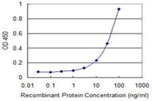 Detection limit for recombinant GST tagged ROR1 is 1 ng/ml as a capture antibody. (ROR1 抗体  (AA 294-393))