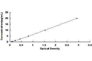 Typical standard curve (Attractin ELISA 试剂盒)