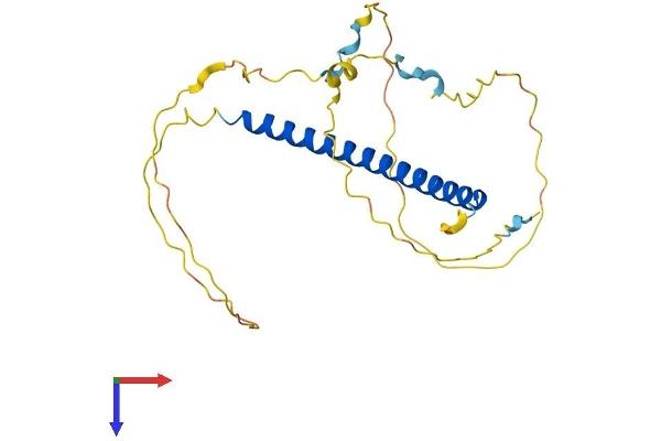 INO80E Protein (AA 1-244) (His tag)