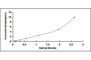 Typical standard curve (LEPREL1 ELISA 试剂盒)