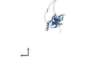 Protein Structure (PS) image for Potassium Inwardly-Rectifying Channel, Subfamily J, Member 6 (KCNJ6) (AA 1-425) protein (His tag) (ABIN7563318)