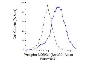 Validation of NDRG1 knockdown using flow cytometry. (Recombinant NDRG1 抗体  (pSer330))