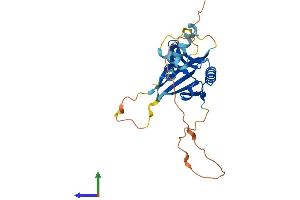 AlphaFold protein structure predicition of Human Recombinant REC114 Protein, UniprotID Q7Z4M0