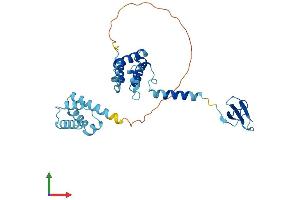 Protein Structure (PS) image for Transcription Elongation Factor A2 (TCEA2) (AA 1-299) protein (His tag) (ABIN7561730)