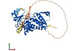 Protein Structure (PS) image for Ribosomal Modification Protein RimK-Like Family Member B (RIMKLB) (AA 1-386) protein (His tag) (ABIN7551415)