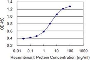 Detection limit for recombinant GST tagged PRKCD is 0. (PKC delta 抗体  (AA 577-676))