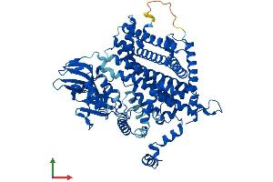 AlphaFold protein structure predicition of Mouse Recombinant Acox1 Protein, UniprotID Q9R0H0