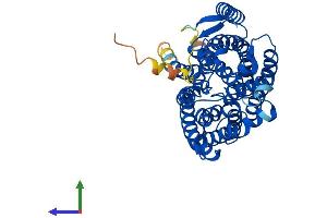 Protein Structure (PS) image for Rh Family A Glycoprotein (RHAG) (AA 1-438) protein (His tag) (ABIN7561729)