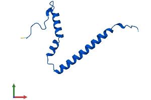 Protein Structure (PS) image for Mitochondrial Ribosomal Protein S21 (MRPS21) (AA 1-87) protein (His tag) (ABIN7545866)