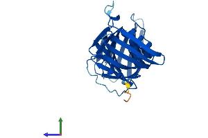 Protein Structure (PS) image for Proliferating Cell Nuclear Antigen (PCNA) (AA 1-261) protein (His tag) (ABIN7554871)