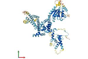 AlphaFold protein structure predicition of Mouse Recombinant Orc3 Protein, UniprotID Q9JK30 (ORC3 Protein (AA 1-715) (His tag))