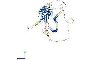 Protein Structure (PS) image for RAS and EF Hand Domain Containing (RASEF) (AA 1-627) protein (His tag) (ABIN7557510)