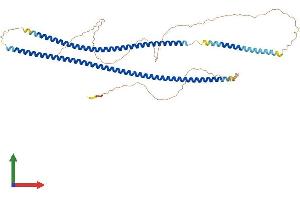 Protein Structure (PS) image for Keratin 4 (KRT4) (AA 1-525) protein (His tag) (ABIN7562755)