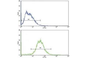 Flow cytometric analysis of HepG2 cells using ALDH1A1 antibody (green) compared to a negative control (blue).