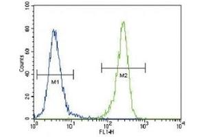 DDR1 antibody flow cytometric analysis of 293 cells (right histogram) (DDR1 抗体  (AA 299-330))