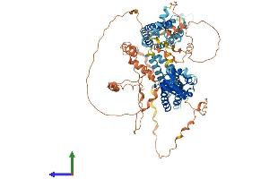 Protein Structure (PS) image for Potassium Voltage-Gated Channel, Shaw-Related Subfamily, Member 3 (KCNC3) (AA 1-757) protein (His tag) (ABIN7554246)