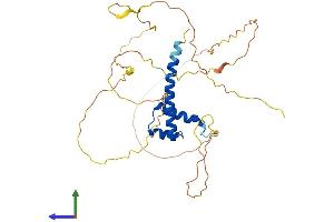 Protein Structure (PS) image for Homeobox D10 (HOXD10) (AA 1-340) protein (His tag) (ABIN7563048)