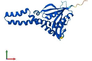 Protein Structure (PS) image for N-Acetyltransferase 8 (NAT8) (AA 1-227) protein (His tag) (ABIN7554689)