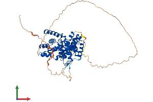 Protein Structure (PS) image for TBC1 Domain Family, Member 10A (TBC1D10A) (AA 1-508) protein (His tag) (ABIN7544164)