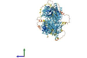 Protein Structure (PS) image for ATP-Binding Cassette, Sub-Family A (ABC1), Member 5 (ABCA5) (AA 1-1642) protein (His tag) (ABIN7551790)