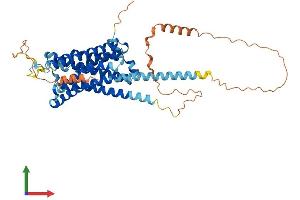 AlphaFold protein structure predicition of Mouse Recombinant Adra2c Protein, UniprotID Q01337