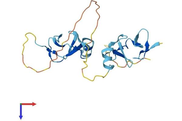CRIP2 Protein (AA 1-208) (His tag)