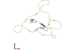 Protein Structure (PS) image for Zinc Finger Protein 488 (ZNF488) (AA 1-340) protein (His tag) (ABIN7545806)