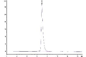 Size-exclusion chromatography-High Pressure Liquid Chromatography (SEC-HPLC) image for Vascular Cell Adhesion Molecule 1 (VCAM1) (AA 25-697) protein (His tag) (ABIN7275819)