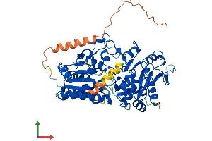 Protein Structure (PS) image for beta 1,3-Galactosyltransferase-Like (B3GALTL) (AA 1-498) protein (His tag) (ABIN7552689)