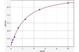 Typical standard curve