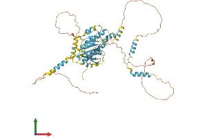 Protein Structure (PS) image for Dynein, Cytoplasmic 1, Light Intermediate Chain 1 (DYNC1LI1) (AA 1-523) protein (His tag) (ABIN7564691)