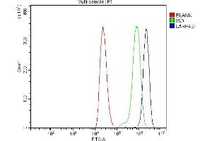 Flow Cytometry analysis of THP-1 cells using anti-LARP4B antibody (ABIN7600865).