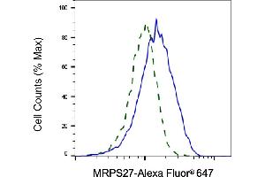 Validation of MRPS27 knockdown using flow cytometry. (MRPS27 抗体)