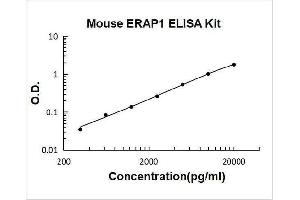 Endoplasmic Reticulum Aminopeptidase 1 (ERAP1) ELISA Kit