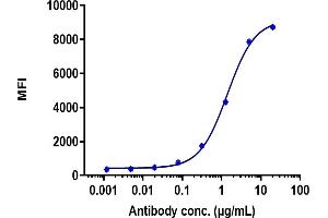 anti-CTLA-4 (Ipilimumab Biosimilar) antibody